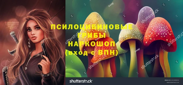 а пвп мука Ладушкин